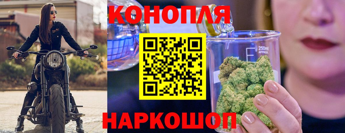 Бошки Шишки ГИДРОПОН  Вход с VPN  Норильск  Марихуана THC 21%  Канабис White Widow  Шишки марихуана SATIVA & INDICA 